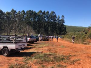 farmers, amorentia, practical, macadamia, macadamia trees