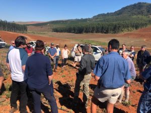 farmers, amorentia, practical, macadamia, macadamia trees